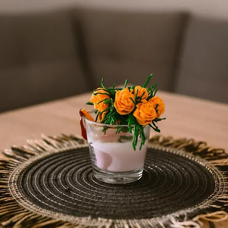 Stars Apartman Gornji Karin