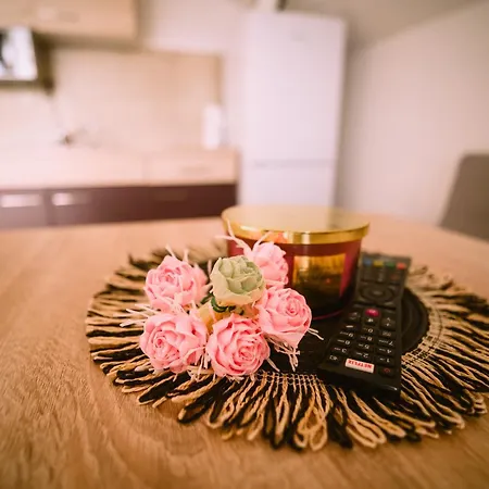 Stars Apartman Gornji Karin